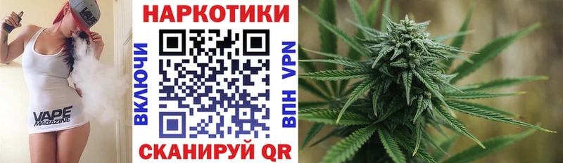 МЕФ Высоцк